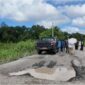 Keterangan: Kondisi jalan poros yang menghubungkan Desa Sebelimbingan, Kecamatan Kota Bangun menuju Desa Tuana Tuha, Kecamatan Kenohan, menjadi sorotan serius Dewan Perwakilan Rakyat Daerah (DPRD) Kabupaten Kutai Kartanegara. (Dok: Kawalkaltim.com)