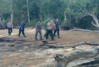 Tim gabungan terus melakukan pencarian terhadap Rahmat, bocah asal Bulungan yang dilaporkan hilang di Pantai Ulingan, Pulau Derawan, Senin (06/04/2026).