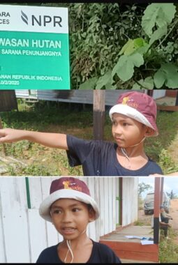 “Di Mana Keadilan di Negeri Ini?” — Tangis Anak Yatim Pecah Saat Lahan Keluarganya Digarap PT NPR
