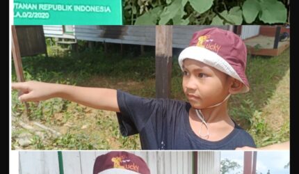 Keterangan Foto Dokumen | Kawalkaltim.com — Eno, bocah yang sejak kecil kerap mengikuti mendiang ayahnya mengelola kebun karet dan ladang keluarga, tampak sedih saat memperlihatkan area lahan yang kini diduga telah digarap PT NPR. Potret ini menjadi gambaran pilu konflik lahan yang dialami masyarakat di Barito Utara. (Dokumentasi dan sumber informasi dikutip dari TrackPeristiwa.com/Henryanus Achiang).
