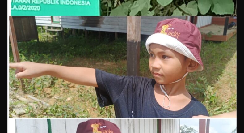 foto slider headline
