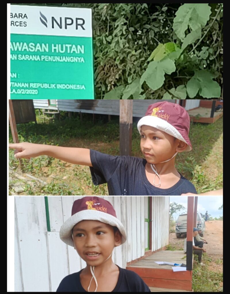 Keterangan Foto Dokumen | Kawalkaltim.com — Eno, bocah yang sejak kecil kerap mengikuti mendiang ayahnya mengelola kebun karet dan ladang keluarga, tampak sedih saat memperlihatkan area lahan yang kini diduga telah digarap PT NPR. Potret ini menjadi gambaran pilu konflik lahan yang dialami masyarakat di Barito Utara. (Dokumentasi dan sumber informasi dikutip dari TrackPeristiwa.com/Henryanus Achiang).