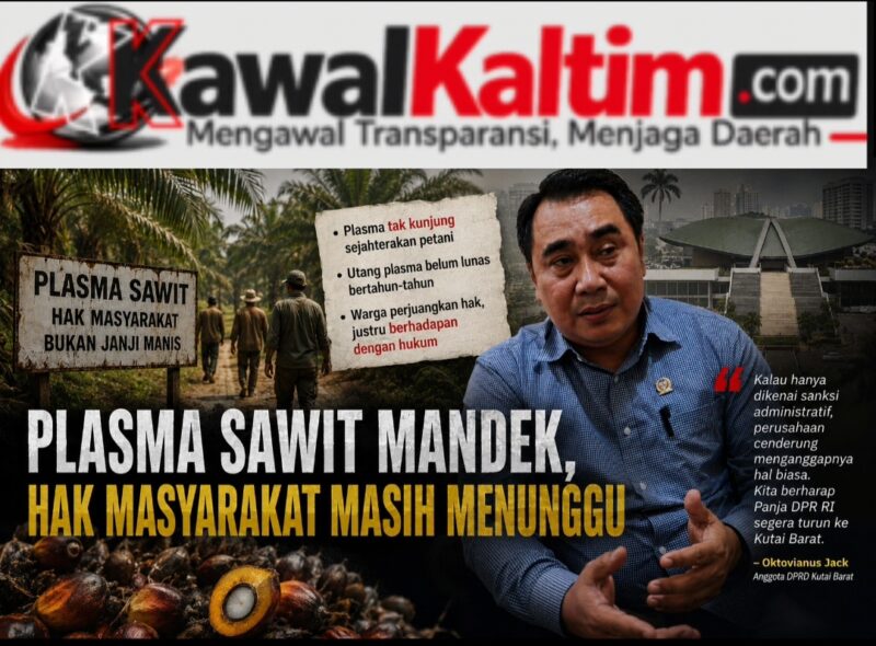 Keterangan Foto:
Anggota DPRD Kutai Barat, Oktovianus Jack. Persoalan plasma sawit, sengketa lahan, dan laporan masyarakat terkait perjuangan hak atas kebun plasma kini menjadi perhatian DPR RI. Panja lintas komisi diharapkan segera turun ke Kutai Barat guna melihat langsung kondisi di lapangan. (Dok. Kawalkaltim.com/Amin)
