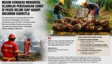 Keterangan Foto:
Ilustrasi aktivitas pekerja di areal perkebunan kelapa sawit. Pemerintah mengingatkan seluruh perusahaan perkebunan di Kabupaten Paser agar memperkuat Brigade Pengendalian Kebakaran Lahan Perkebunan (Dalkarbun) dan menerapkan prinsip zero burning sebagai langkah antisipasi menghadapi ancaman musim kemarau panjang akibat fenomena El Nino. (Dok. Ilustrasi/Kawalkaltim.com)