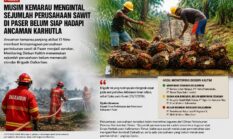 El Nino Jadi Alarm Keras, Dalkarbun Sejumlah Perusahaan Sawit di Paser Masih Belum Memenuhi Standar