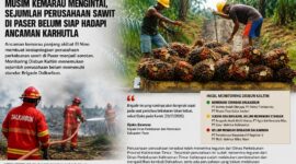 Keterangan Foto:
Ilustrasi aktivitas pekerja di areal perkebunan kelapa sawit. Pemerintah mengingatkan seluruh perusahaan perkebunan di Kabupaten Paser agar memperkuat Brigade Pengendalian Kebakaran Lahan Perkebunan (Dalkarbun) dan menerapkan prinsip zero burning sebagai langkah antisipasi menghadapi ancaman musim kemarau panjang akibat fenomena El Nino. (Dok. Ilustrasi/Kawalkaltim.com)
