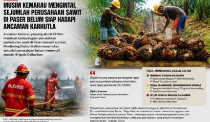 Keterangan Foto: Ilustrasi aktivitas pekerja di areal perkebunan kelapa sawit. Pemerintah mengingatkan seluruh perusahaan perkebunan di Kabupaten Paser agar memperkuat Brigade Pengendalian Kebakaran Lahan Perkebunan (Dalkarbun) dan menerapkan prinsip zero burning sebagai langkah antisipasi menghadapi ancaman musim kemarau panjang akibat fenomena El Nino. (Dok. Ilustrasi/Kawalkaltim.com)