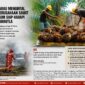 Keterangan Foto:
Ilustrasi aktivitas pekerja di areal perkebunan kelapa sawit. Pemerintah mengingatkan seluruh perusahaan perkebunan di Kabupaten Paser agar memperkuat Brigade Pengendalian Kebakaran Lahan Perkebunan (Dalkarbun) dan menerapkan prinsip zero burning sebagai langkah antisipasi menghadapi ancaman musim kemarau panjang akibat fenomena El Nino. (Dok. Ilustrasi/Kawalkaltim.com)
