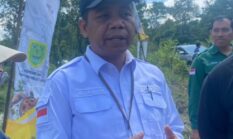 Sawah Berau Didorong Tak Pernah Kosong, Kementan Perkuat Langkah Menuju Swasembada Pangan