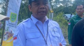 Keterangan Foto :
Kepala Pusat Penyuluhan Pertanian Kementerian Pertanian, 𝗠. 𝗔𝗺𝗶𝗻, memberikan keterangan kepada awak media usai mengikuti Gerakan Tanam Padi Serentak Nasional di Kampung Melati Jaya, Kecamatan Teluk Bayur, Kabupaten Berau, Jumat (31/7/2026). Dalam kesempatan tersebut, Kementan menegaskan komitmennya mendukung peningkatan produktivitas pertanian melalui penyaluran alsintan, benih, pupuk, serta pendampingan terhadap pengelolaan lahan sawah seluas 111 hektare guna memperkuat target swasembada pangan nasional. (Dok. Kawalkaltim.com/Hidayat)
