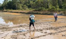 Menuju Swasembada Pangan, Berau Dorong Kementan Perkuat Irigasi hingga SDM Petani