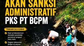 Keterangan Foto:
Petugas bersama masyarakat melakukan pengecekan kondisi Sungai Tukent di Kecamatan Bentian Besar, Kutai Barat, yang terlihat menghitam pada 15 Juli 2026. Kondisi tersebut menjadi perhatian setelah DLH Kutai Barat menemukan sejumlah parameter pencemar hasil uji laboratorium melebihi baku mutu dan menyatakan akan memberikan sanksi administratif terhadap PKS PT BCPM. (Dok. KawalKaltim.com)
